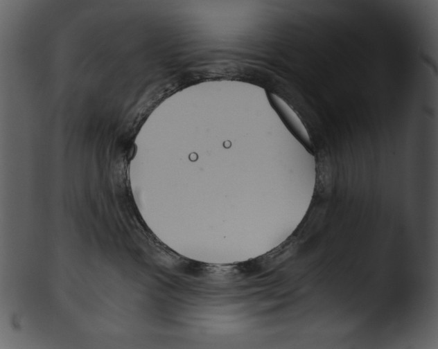 X0000103220333200809251141