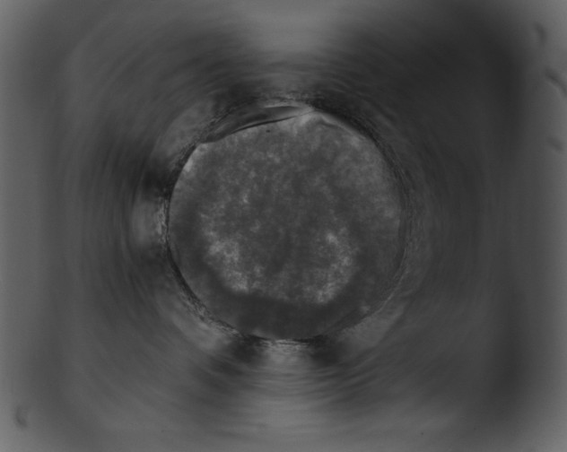 X0000103220336200809251141