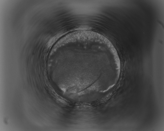 X0000103220337200809251141