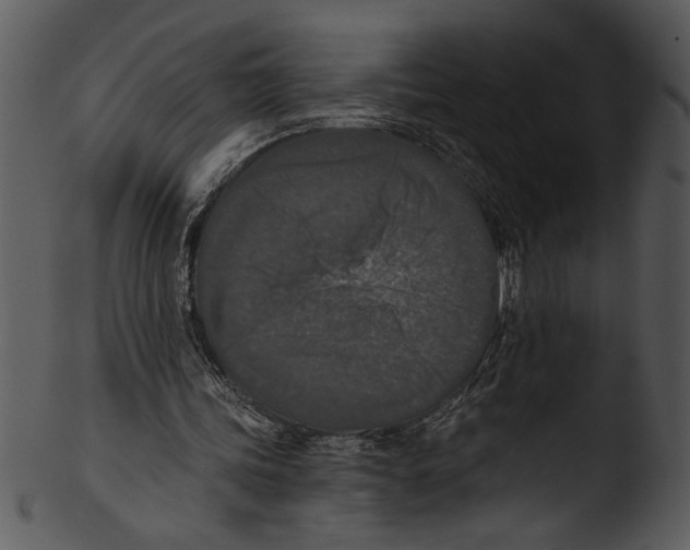 X0000103220339200809251141