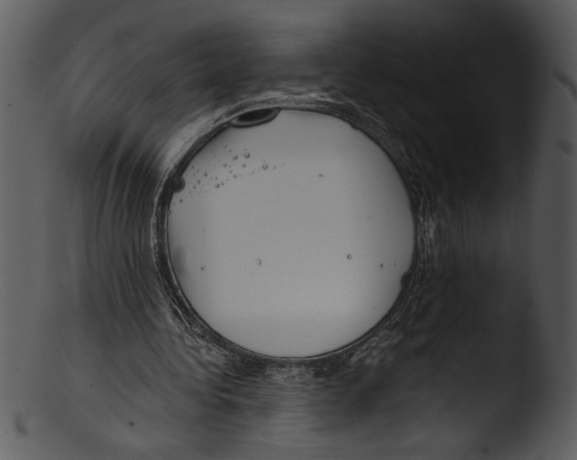 X0000103220340200809251141