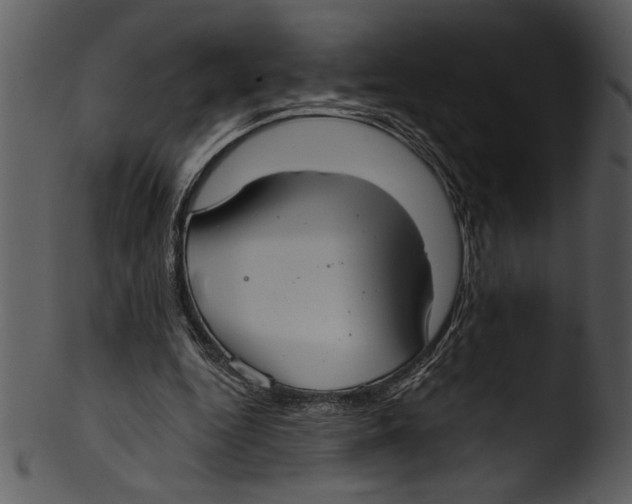 X0000103220344200809251141