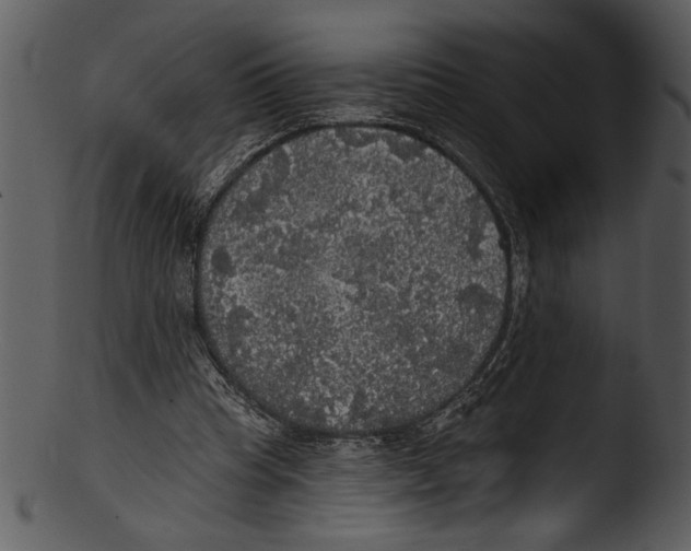 X0000103220345200809251141