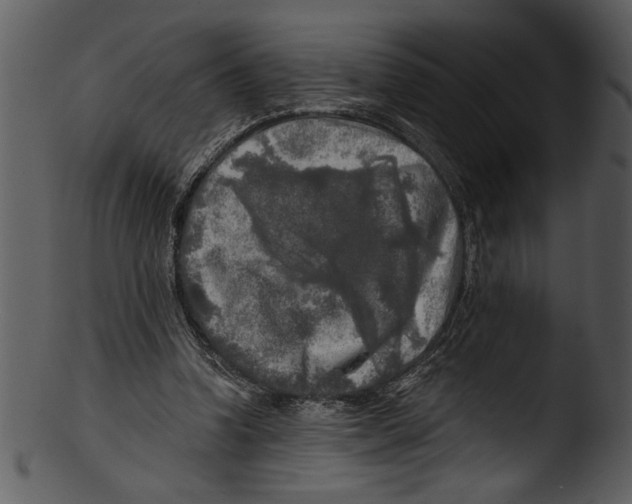 X0000103220346200809251141