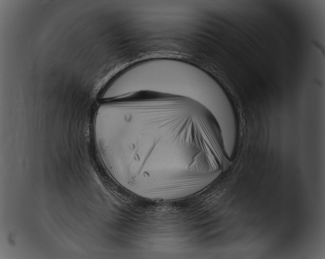 X0000103220348200809251141