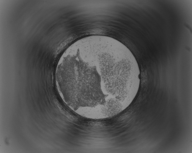 X0000103220349200809251141