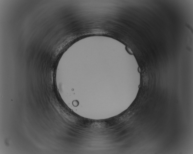 X0000103220350200809251141