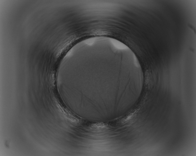 X0000103220351200809251141