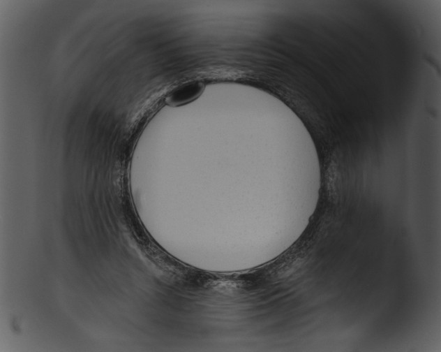 X0000103220352200809251141