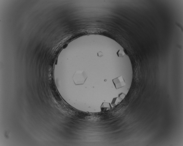 X0000103220356200809251141