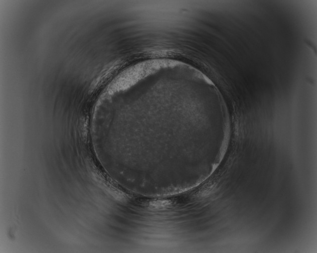 X0000103220357200809251141