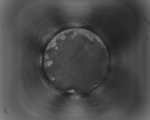 X0000103220358200809251141