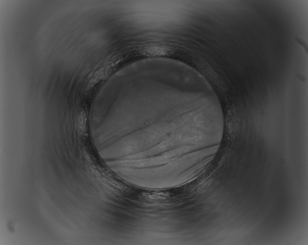 X0000103220359200809251141