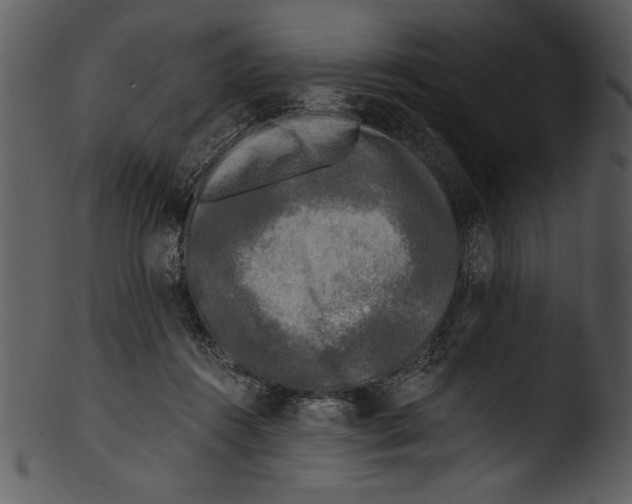 X0000103220360200809251141