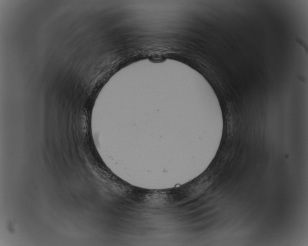 X0000103220362200809251141