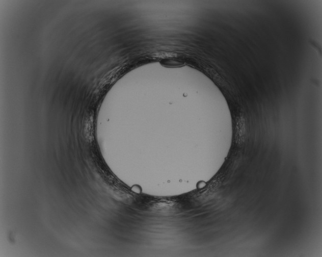 X0000103220364200809251141