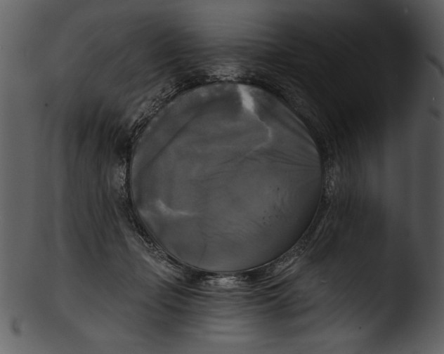 X0000103220365200809251141