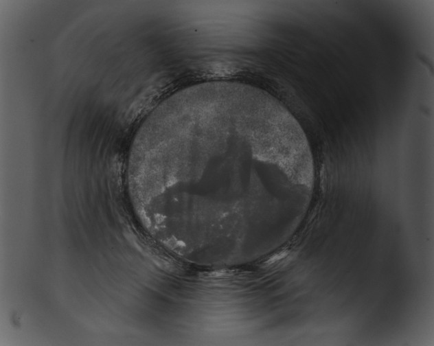 X0000103220366200809251141