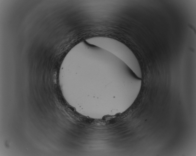 X0000103220368200809251141