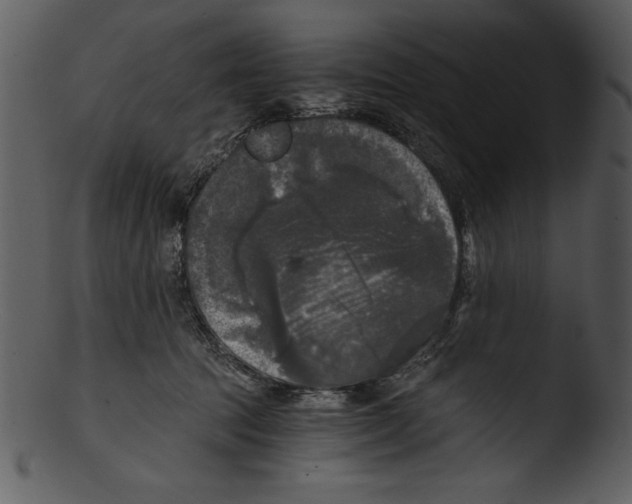 X0000103220369200809251141