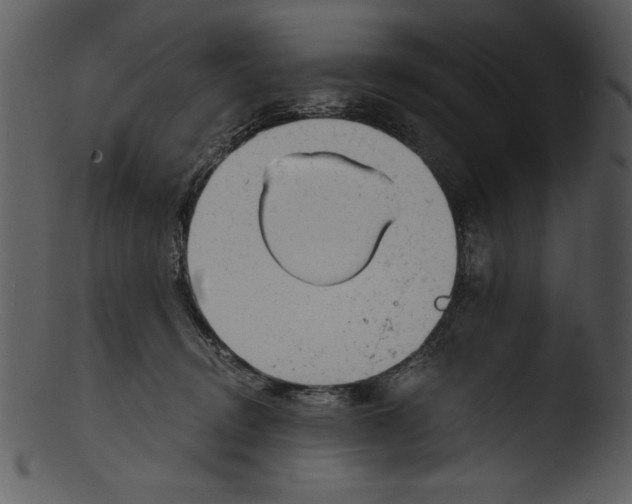 X0000103220370200809251141