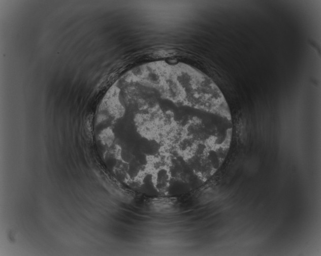 X0000103220373200809251141