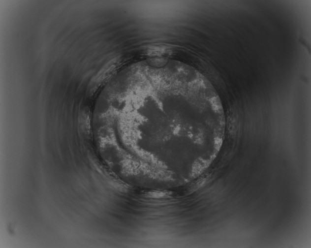 X0000103220375200809251141