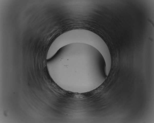 X0000103220376200809251141