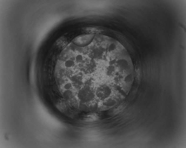 X0000103220381200809251141