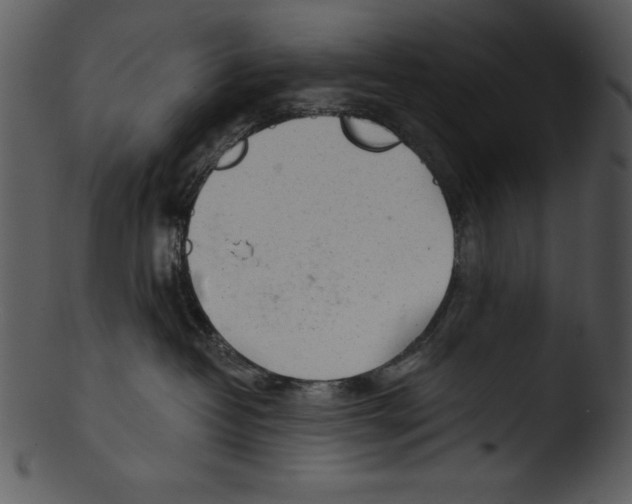 X0000103220382200809251141