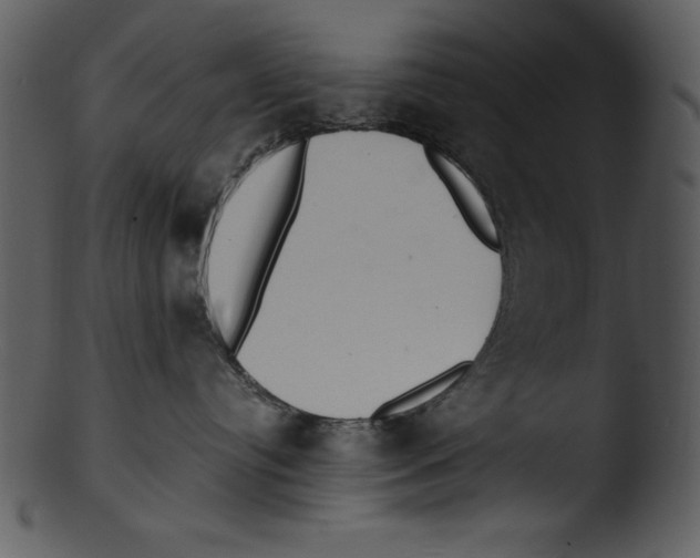 X0000103220384200809251141