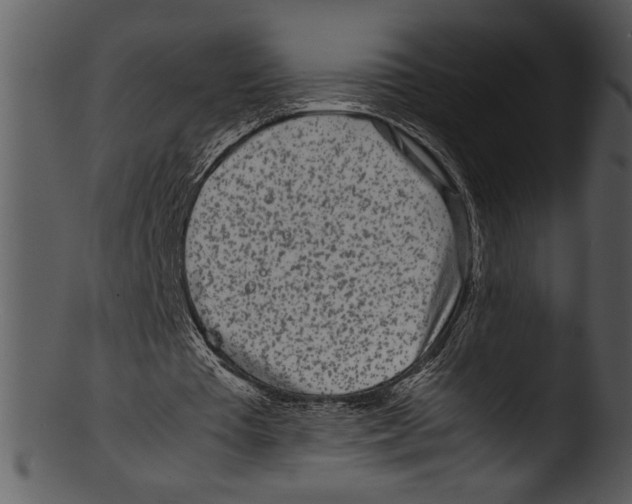 X0000103220385200809251141