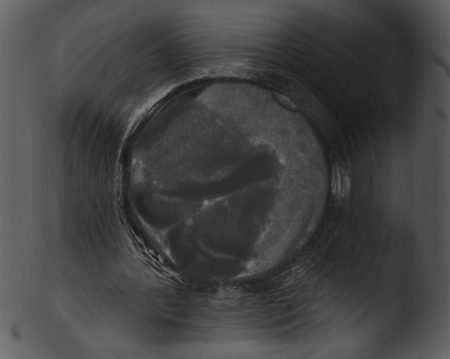 X0000103220388200809251141