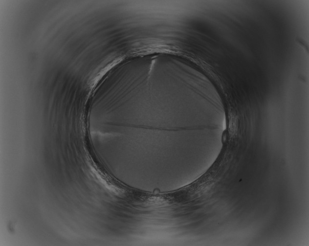 X0000103220390200809251141