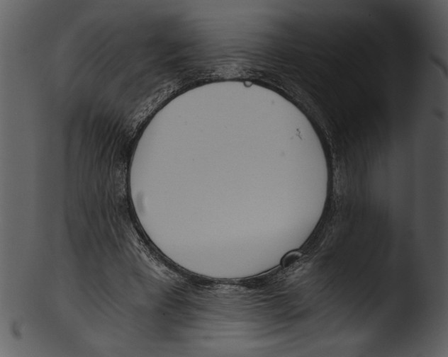 X0000103220393200809251140