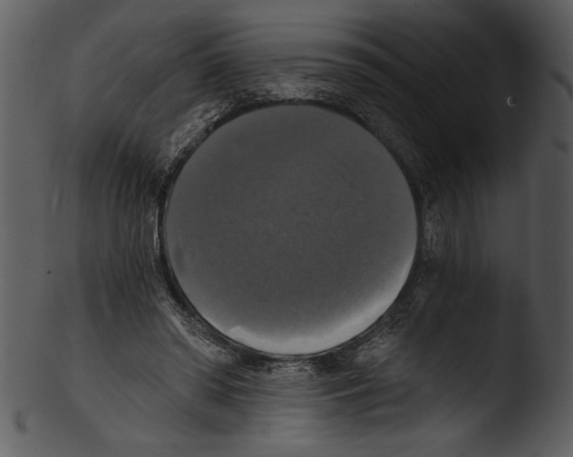 X0000103220398200809251140