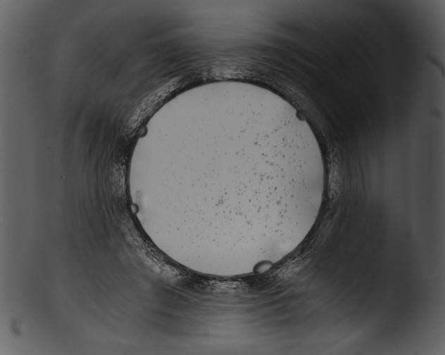 X0000103220401200809251140