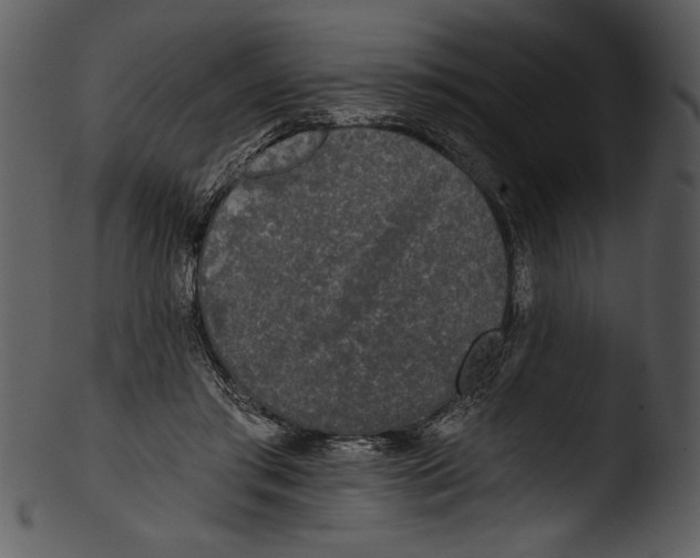 X0000103220405200809251140