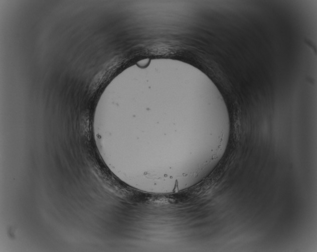 X0000103220407200809251140