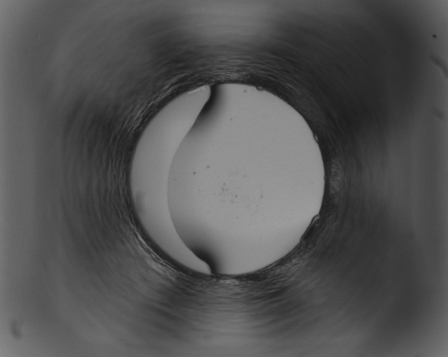 X0000103220409200809251140