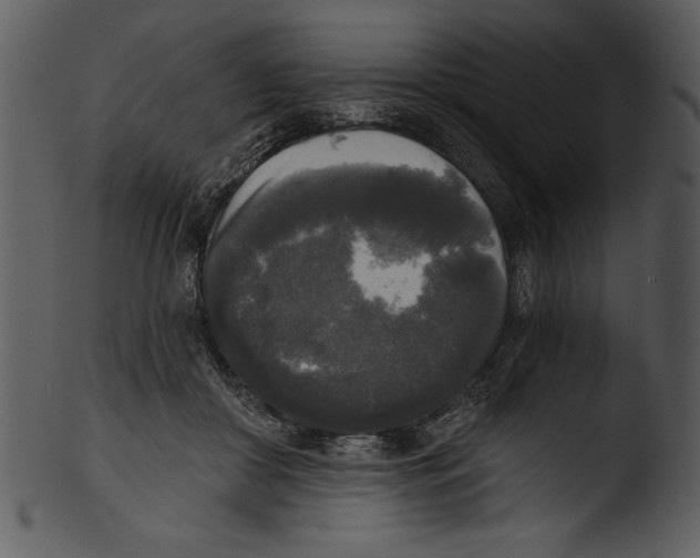 X0000103220410200809251140