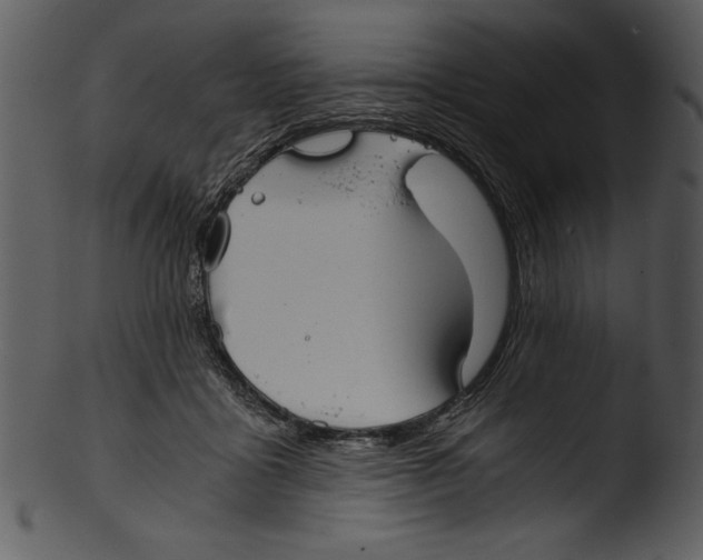 X0000103220411200809251140