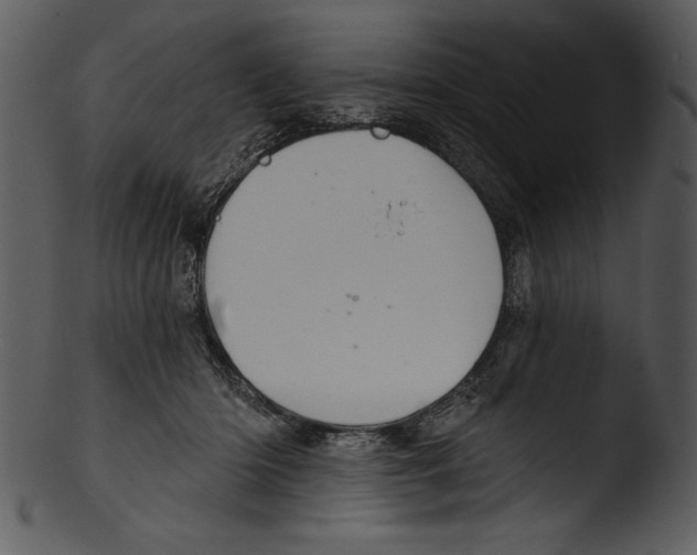 X0000103220414200809251140