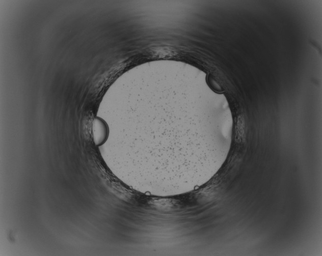 X0000103220417200809251140