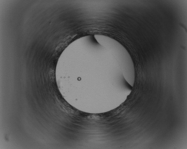 X0000103220419200809251140