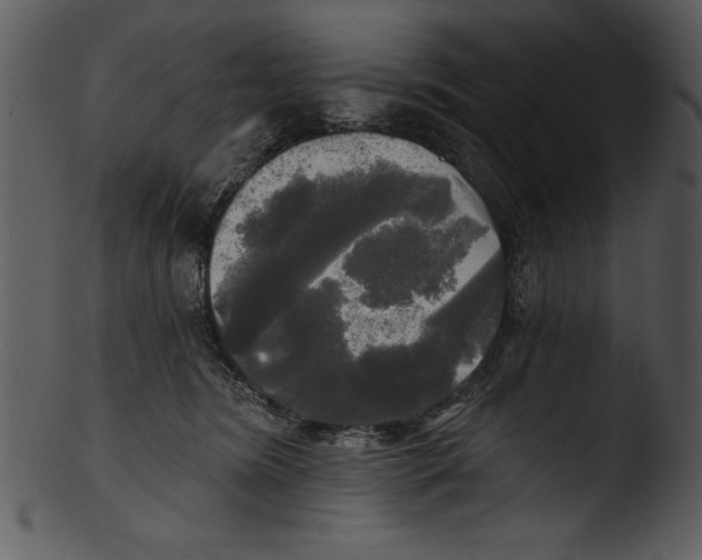 X0000103220420200809251140