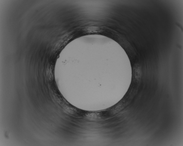 X0000103220422200809251140