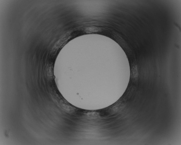 X0000103220426200809251140