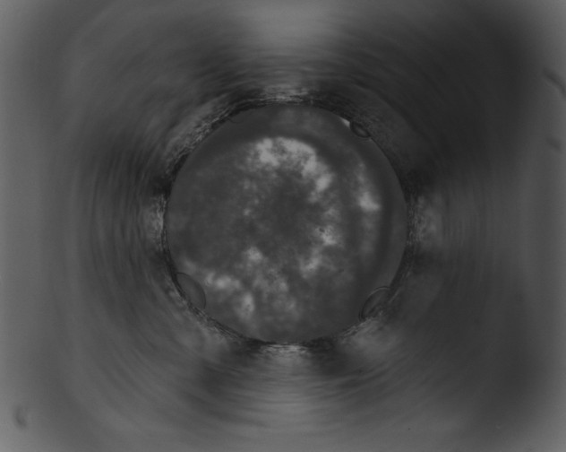 X0000103220427200809251140