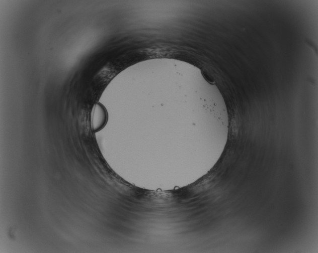 X0000103220429200809251140